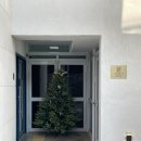 주식회사 신아주이트럭 | [강릉샌드 본점] 원조강릉샌드 강릉 교동 카페 디저트 맛집 강릉 여행 선물 기념품 후기