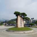 원주 출렁다리민박 | 원주 소금산 출렁다리 케이블카 후기 &amp; 갈색 단풍