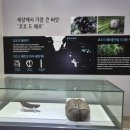 노아의작은도서관 | 백두대간수목원 실내 볼거리가 가득한 전시실