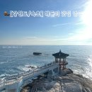 강원도 속초 해돋이 명소 영금정 보러 갔다가 중천에 뜬 해 본 후기
