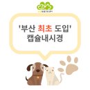 금빛동물병원 네이버블로그