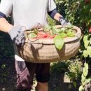 인제농장 이미지