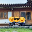 꿀단지펜션 | 천안 금당채 | 천안 한옥 독채 펜션, 충남 천안 감성숙소, 천안 애견동반 펜션 추천