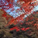 곡성-263 이미지