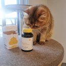 유비(UB)솔루션 이미지