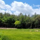 농산별업 이미지