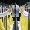 저녁반 한국무용 이미지