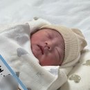 (야간)봄을 맞이하는 마크라메 | 임신 38주~39주 데일리룩 출산준비(헤이홈 홈캠,포프베베 아기비데,젖병 소독)