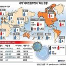 돼지독감이란? (Swine influenza : SI) 이미지