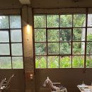 더리트리브 | 제주 서귀포 산방산 근처 더리트리브 카페 솔직후기 (애견동반 가능한)