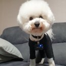 부띠끄진주 이미지