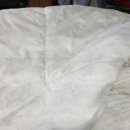 운동화이불세탁전문점 이미지