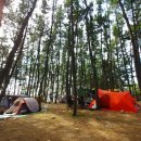 용두삼겹살 이미지