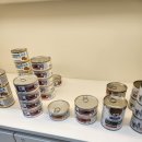 더바른 동물병원 이미지