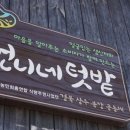 언니네텃밭 봉강공동체 이미지