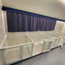 도그힐튼 이미지