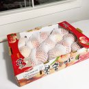 두산농원