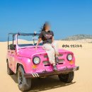 칠갑목장 | 나트랑 사막투어, 판랑투어 내돈내산 후기