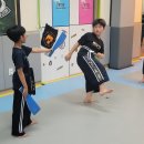 용인대석사특전합기도 이미지