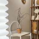 마들렌 펜션 이미지