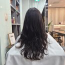 살롱스캣