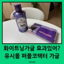 퍼플라이언 | 화이트닝 가글 속는 셈 치고 구매했어요! 쿠로미가 귀여웠거든요 유시몰 퍼플코렉터 가글 후기