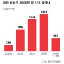 민낯 - 완도군 개포로114번길 38-6 | 민낯