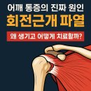 💪 어깨 통증의 진짜 원인 ⚡ 회전근개 파열, 왜 생기고 어떻게 치료할까? 이미지