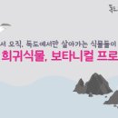 독도문방구