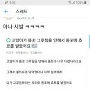 고양이가 똥꼬 그루밍을 안해서 똥꼬에 츄르를 발랐는데 괜찮을까요?.twt 이미지