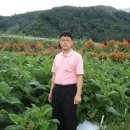 (주)아마란스 이미지