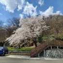 함안면공설운동장 이미지