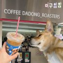 벌컥커피 - 남구 대명로 131 | 을지로 입구 근처 귀여운 강아지와 맛있는 시그니처 라떼가 있는 ‘커피다동’ 후기, 메뉴추천