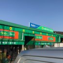 효성공판장 | "대구 북구 매천시장" 농산물 출하 방법 및 경매시간 일정, 방문후기!
