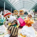 함께하는 월드 매직쇼 이미지