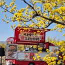 스마일꽃판매장 | [구례산수유푸드트럭후기]구례 산수유축제장에서 스마일푸드트럭 찾기!!