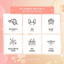 맥스동물병원 이미지