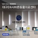 바른동물병원 | 대구24시바른동물의료센터 고양이 건강검진 후기 | 고양이친화병원 방문기 🐱