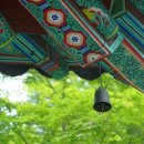 부경렌즈 이미지