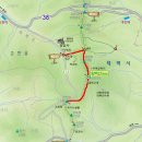 삐가번쩍 이미지