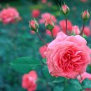 안경OK콘택트안경원 이미지