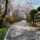 가산산성야영장 이미지