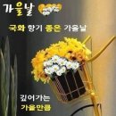 수지종합식품 이미지