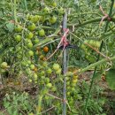 문산그린농약사 이미지