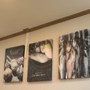 황금코다리 고흥점 이미지