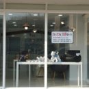 엘프몽 네이버블로그