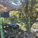 무지개민박 이미지