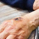 성남과일 이미지