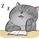 형제카세차 이미지