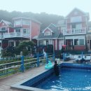 마법의 성 펜션 | 경주 애견동반 펜션 마법의성 103호 이용후기 가성비 숙소 추천